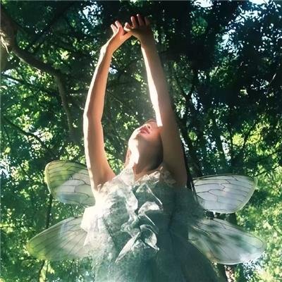 風情萬種野玫瑰